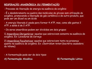 RESPIRAÇÃO ANAERÓBICA OU FERMENTAÇÃO - Processo de liberação de energia na ausência de oxigênio - É o desdobramento ou quebra das moléculas de glicose sem utilização do oxigênio, promovendo a liberação do gás carbônico e de outro produto, que pode ser um álcool ou um ácido - A energia liberada é usada para formar 4 ATP, mas, como são gastos 2 ATP, o saldo é de 2 ATP. •  Os seres anaeróbios podem ser divididos em dois grupos: 1)  Anaeróbios Obrigatórios : aqueles que sobrevivem somente na ausência de oxigênio. Ex: Leveduras de Cerveja 2)  Anaeróbios Facultativos : aqueles que sobrevivem tanto na presença quanto na ausência de oxigênio. Ex:  Clostridium tetani  (bactéria causadora do tétano) - A fermentação pode ser de dois tipos: A) Fermentação Alcoólica  B) Fermentação Lática 