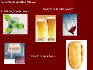 Fermentação Alcoólica (etílica) Utilização pelo homem: Produção de pães, bolos... Produção de bebidas alcoólicas 