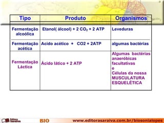 Tipo Produto Organismos 
Fermentação 
alcoólica 
Fermentação 
acética 
Etanol( álcool) + 2 CO2 + 2 ATP 
Acido acético + CO2 + 2ATP 
Leveduras 
algumas bactérias 
Fermentação 
Láctica 
Ácido lático + 2 ATP 
Algumas bactérias 
anaeróbicas 
facultativas 
e 
Células da nossa 
MUSCULATURA 
ESQUELÉTICA 
 