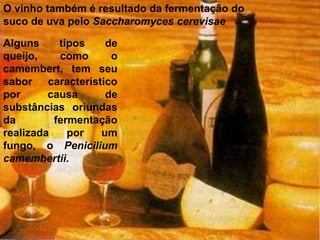 O vinho também é resultado da fermentação do 
suco de uva pelo Saccharomyces cerevisae 
Alguns tipos de 
queijo, como o 
camembert, tem seu 
sabor característico 
por causa de 
substâncias oriundas 
da fermentação 
realizada por um 
fungo, o Penicilium 
camembertii. 
 
