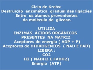 Ciclo de Krebs: 
Destruição enzimática gradual das ligações 
Entre os átomos provenientes 
da molécula de glicose. 
UTILIZA 
ENZIMAS ÁCIDOS ORGÂNICOS 
PRESENTES NA MATRIZ 
Aceptores de energia ( ADP + P) 
Aceptores de HIDROGÊNIOS ( NAD E FAD) 
LIBERA : 
CO2 
H2 ( NADH2 E FADH2) 
Energia (ATP) 
 