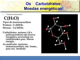 Os Carboidratos: 
Moedas energéticas! 
• “Carbonos hidratados” 
C(H2O) 
Tipos de monossacarídeos 
Pentose: C5 (H2O)5 
Hexose: C6( H2O)6 
Carboidratos maiores ( di e 
polissacarídeos) são reserva 
energética, necessitam ser 
catabolisados para liberar 
energia. 
As moléculas menores, 
monossacarídeos, são fontes, 
para uso imediato. 
 