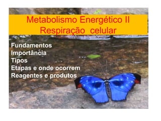 Metabolismo Energético II 
Respiração celular 
Fundamentos 
Importância 
Tipos 
Etapas e onde ocorrem 
Reagentes e produtos 
 
