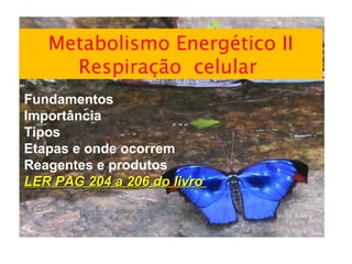 Metabolismo Energético II 
Respiração celular 
Fundamentos 
Importância 
Tipos 
Etapas e onde ocorrem 
Reagentes e produtos 
LLEERR PPAAGG 220044 aa 220066 ddoo lliivvrroo 
 