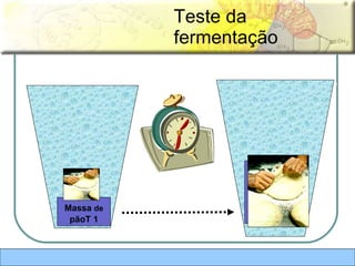 Teste da fermentação Massa  de   pãoT 1 Massa de pão T2 