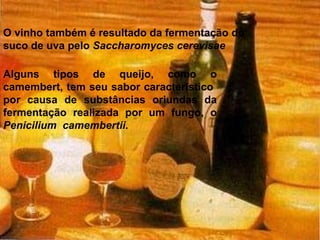 O vinho também é resultado da fermentação do suco de uva pelo  Saccharomyces cerevisae Alguns tipos de queijo, como o camembert, tem seu sabor característico  por causa de substâncias oriundas da fermentação realizada por um fungo, o  Penicilium  camembertii. 