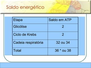 Saldo energético  36 * ou 38 Total 32 ou 34 Cadeia respiratória 2 Ciclo de Krebs 2 Glicólise Saldo em ATP Etapa 