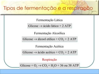Tipos de fermentação e a respiração Glicose    ácido lático + 2 ATP Fermentação Lática Glicose    álcool etílico + CO 2  + 2 ATP Fermentação Alcoólica Glicose    ácido acético + CO 2  + 2 ATP Fermentação Acética Glicose + O 2     CO 2  + H 2 O + 36 ou 38 ATP Respiração 