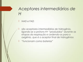 Aceptores intermediários de
H
 NAD e FAD
 são aceptores intermediários de hidrogênio,
ligando-se a prótons H+ “produzidos” durante as
etapas da respiração e cedendo-os para o
oxigênio, que é o aceptor final de hidrogênios
 “funcionam como baterias”
 