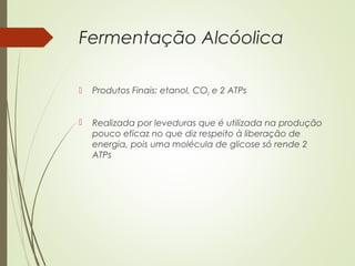 Fermentação Alcóolica
 Produtos Finais: etanol, CO2 e 2 ATPs
 Realizada por leveduras que é utilizada na produção
pouco eficaz no que diz respeito à liberação de
energia, pois uma molécula de glicose só rende 2
ATPs
 