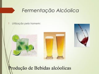 Fermentação Alcóolica
 Utilização pelo homem:
Produção de Bebidas alcóolicas
 