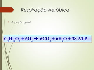 Respiração Aeróbica
 Equação geral:
C6
H12
O6
+ 6O2
 6CO2
+ 6H2
O + 38 ATP
 