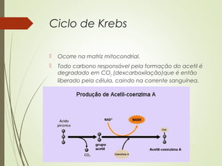 Ciclo de Krebs
 Ocorre na matriz mitocondrial.
 Todo carbono responsável pela formação do acetil é
degradado em CO2
(dexcarboxilação)que é então
liberado pela célula, caindo na corrente sanguínea.
 