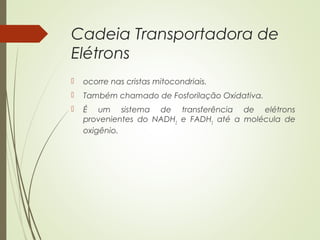 Cadeia Transportadora de
Elétrons
 ocorre nas cristas mitocondriais.
 Também chamado de Fosforilação Oxidativa.
 É um sistema de transferência de elétrons
provenientes do NADH2
e FADH2
até a molécula de
oxigênio.
 