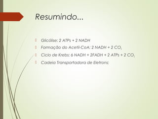 Resumindo...
 Glicólise: 2 ATPs + 2 NADH
 Formação do Acetil-CoA: 2 NADH + 2 CO2
 Ciclo de Krebs: 6 NADH + 2FADH + 2 ATPs + 2 CO2
 Cadeia Transportadora de Eletrons:
 