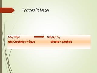 Fotossíntese
COCO22 + H+ H22OO CC66HH1212OO66 + O+ O22
gás Carbônico + águagás Carbônico + água glicose + oxigênioglicose + oxigênio
 