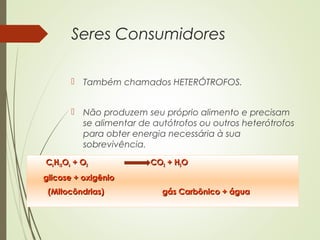 Seres Consumidores
 Também chamados HETERÓTROFOS.
 Não produzem seu próprio alimento e precisam
se alimentar de autótrofos ou outros heterótrofos
para obter energia necessária à sua
sobrevivência.
CC66HH1212OO66 + O+ O22 COCO22 + H+ H22OO
glicose + oxigênioglicose + oxigênio
(Mitocôndrias) gás Carbônico + água(Mitocôndrias) gás Carbônico + água
 