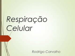 Respiração
Celular
Rodrigo Carvalho
 