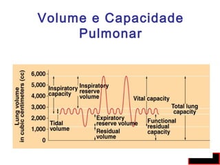 Volume e Capacidade
Pulmonar
Fig 10.9
 