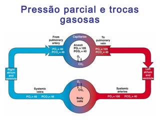 Pressão parcial e trocas
gasosas
 