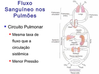 Fluxo
Sanguíneo nos
Pulmões
 Circuito Pulmonar
 Mesma taxa de
fluxo que a
circulação
sistêmica
 Menor Pressão
 