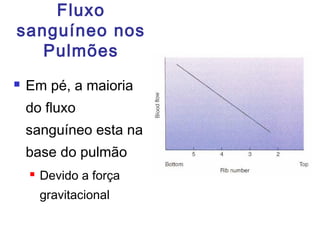Fluxo
sanguíneo nos
Pulmões
 Em pé, a maioria
do fluxo
sanguíneo esta na
base do pulmão
 Devido a força
gravitacional
 