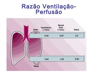Razão Ventilação-
Perfusão
 