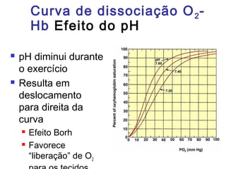 Curva de dissociação O2-
Hb Efeito do pH
 pH diminui durante
o exercício
 Resulta em
deslocamento
para direita da
curva
 Efeito Borh
 Favorece
“liberação” de O2
 