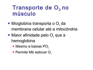Transporte de O2 no
músculo
 Mioglobina transporta o O2 da
membrana celular até a mitocôndria
 Maior afinidade pelo O2 que a
hemoglobina
 Mesmo a baixas PO2
 Permite Mb estocar O2
 