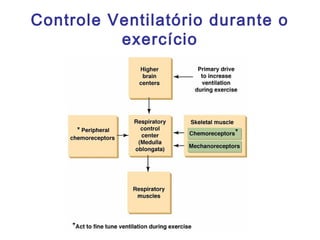 Controle Ventilatório durante o
exercício
 