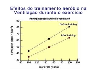 Efeitos do treinamento aeróbio na
Ventilação durante o exercício
 