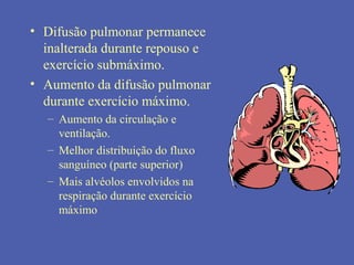 • Difusão pulmonar permanece
inalterada durante repouso e
exercício submáximo.
• Aumento da difusão pulmonar
durante exercício máximo.
– Aumento da circulação e
ventilação.
– Melhor distribuição do fluxo
sanguíneo (parte superior)
– Mais alvéolos envolvidos na
respiração durante exercício
máximo
 