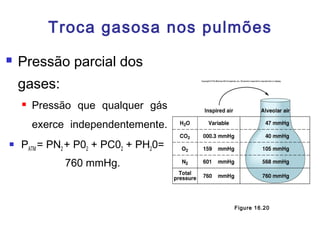 Troca gasosa nos pulmões
 Pressão parcial dos
gases:
 Pressão que qualquer gás
exerce independentemente.
 PATM = PN2 + P02 + PC02 + PH20=
760 mmHg.
Figure 16.20
 
