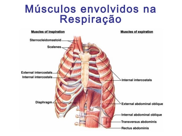 Vídeo que ajuda a deixar de fumar