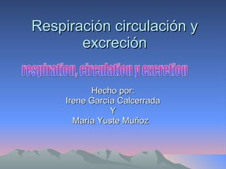 Respiración circulación y excreción   Hecho por: Irene García Calcerrada Y María Yuste Muñoz  respiration, circulation y excretion 