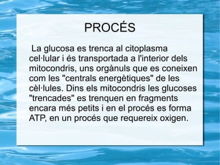 PROCÉS
La glucosa es trenca al citoplasma
cel·lular i és transportada a l'interior dels
mitocondris, uns orgànuls que es coneixen
com les "centrals energètiques" de les
cèl·lules. Dins els mitocondris les glucoses
"trencades" es trenquen en fragments
encara més petits i en el procés es forma
ATP, en un procés que requereix oxigen.
 