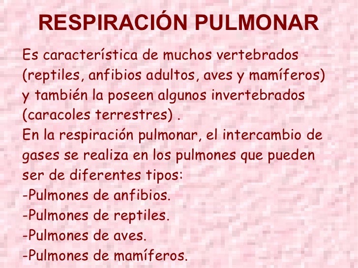 La Respiración en Animales