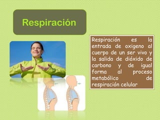 Respiración
Respiración es la
entrada de oxigeno al
cuerpo de un ser vivo y
la salida de dióxido de
carbono y de igual
forma al proceso
metabólico de
respiración celular
 