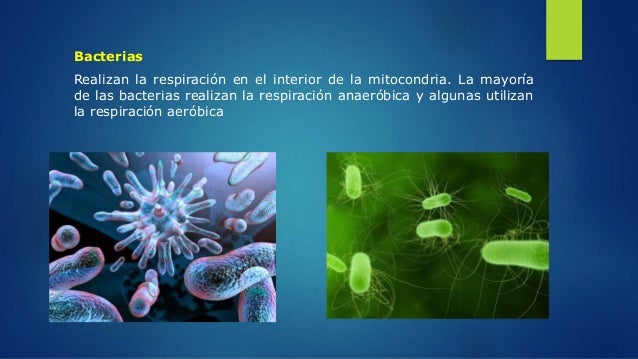 Respiración