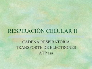 RESPIRACIÓN CELULAR II CADENA RESPIRATORIA TRANSPORTE DE ELECTRONES ATP asa 