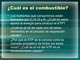 ¿Cuál es el combustible? Los nutrientes que consumimos están formados por C, H, O y N. ¿Cuál de estos aporta la energía para producir el ATP? ¿Cuál es el rol de cada uno de estos elementos en el proceso de respiración celular? ¿Por qué al ATP se le conoce como la moneda energética de todos los seres vivos? ¿Cuál es el rol del ATP en el funcionamiento celular? 