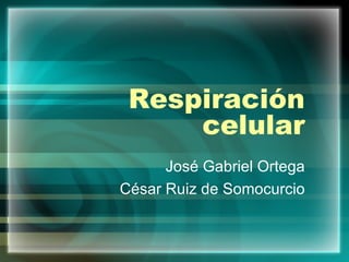 Respiración celular José Gabriel Ortega César Ruiz de Somocurcio 