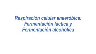 Respiración celular anaeróbica:
Fermentación láctica y
Fermentación alcohólica
 