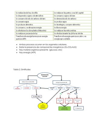  Ambos procesos ocurren en los organelos celulares.
 Existe la presencia de componentes inorgánicos (O2-CO2-H2O)
 Hay materia orgánica presente (glucosa, etc)
 Hay energía (ATP)
Tabla 2. Similitudes
 