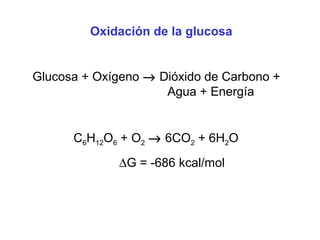 Oxidación de la glucosa
Glucosa + Oxígeno → Dióxido de Carbono +
Agua + Energía

C6H12O6 + O2 → 6CO2 + 6H2O
∆G = -686 kcal/mol

 
