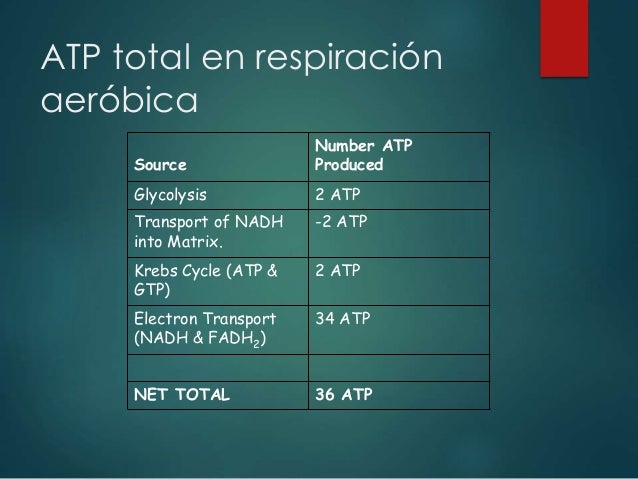 Respiración celular