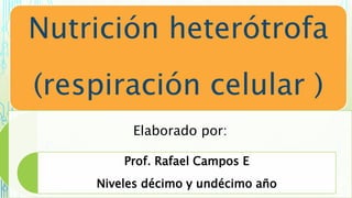 Nutrición heterótrofa
(respiración celular )
Elaborado por:
Prof. Rafael Campos E
Niveles décimo y undécimo año
 