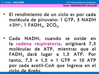 • El rendimiento de un ciclo es por cada
molécula de piruvato: 1 GTP, 3 NADH
+3H+
, 1 FADH2, 2CO2.
• Cada NADH, cuando se oxide en
la cadena respiratoria, originará 7,5
moléculas de ATP, mientras que el
FADH2 dará lugar a 1,5 ATP. Por
tanto, 7,5 + 1,5 + 1 GTP = 10 ATP
por cada acetil-CoA que ingresa en el
ciclo de Krebs.
V- Unidad : BIOLOGÍA
Tema: RESPIRACIÓN CELULAR
I.E.P «Nuestra Señora de Guadalupe»
 