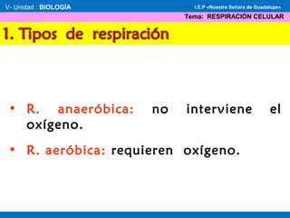 • R. anaeróbica: no interviene el
oxígeno.
• R. aeróbica: requieren oxígeno.
V- Unidad : BIOLOGÍA
Tema: RESPIRACIÓN CELULAR
I.E.P «Nuestra Señora de Guadalupe»
 