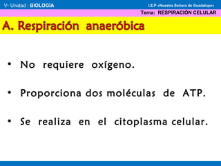 • No requiere oxígeno.
• Proporciona dos moléculas de ATP.
• Se realiza en el citoplasma celular.
V- Unidad : BIOLOGÍA
Tema: RESPIRACIÓN CELULAR
I.E.P «Nuestra Señora de Guadalupe»
 